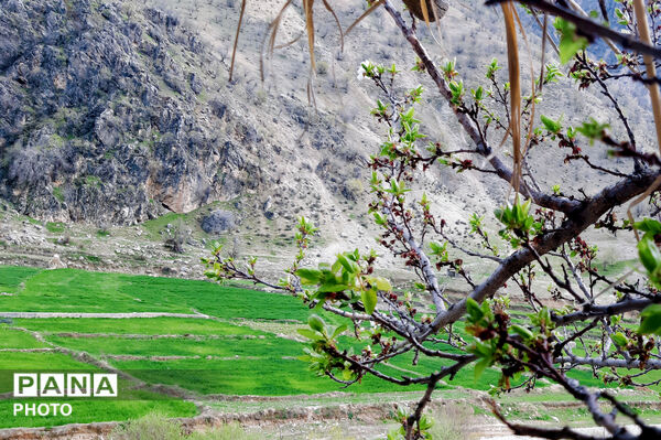 طبیعت روستای بیدله به هنگام بهار
