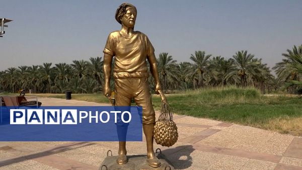 برداشت رطب از نخلستان‌های دالکی دشتستان 