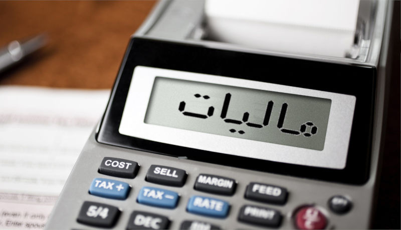 مدنی‌زاده: هوشمندسازی مالیاتی یکی از راهبردهای اصلی وزارت اقتصاد