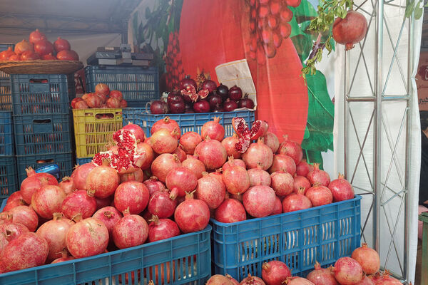 یاقوت سرخ اراک در جشنواره انار به نمایش درآمد