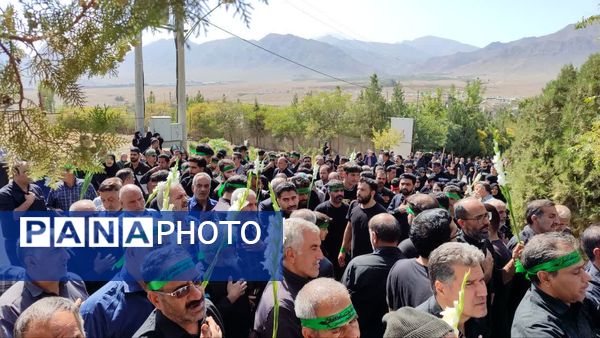 آیین باشکوه قالیشویان مشهد اردهال کاشان