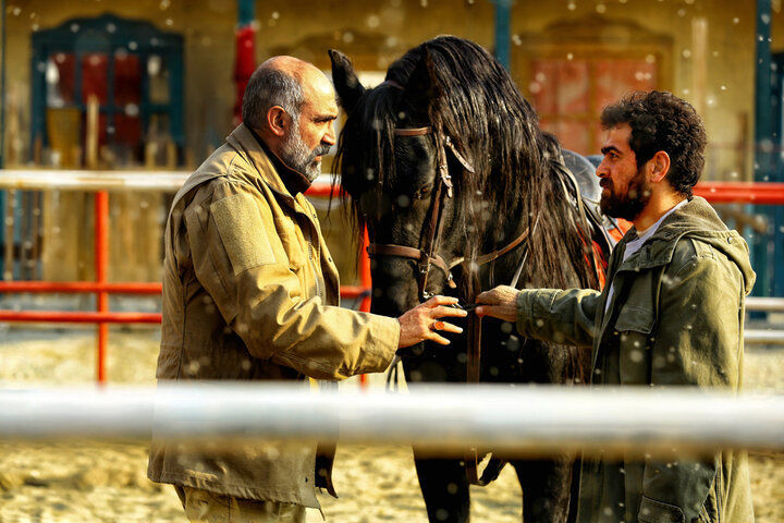 ناتور دشت؛ روایتی پر پیچ و خم در مورد خبری کوتاه!