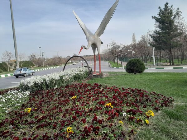 رد پای بهار در مشهد