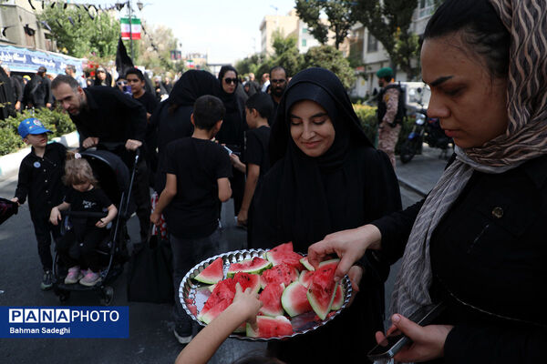 جاماندگان اربعین حسینی - تهران