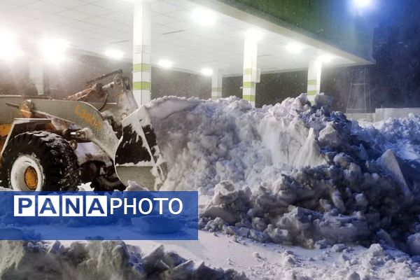 قابِ سفیدِ زمستان فـیـروزکــوه