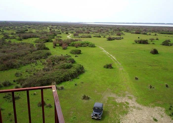 توقف قانونی فعالیت‌های پتروشیمی میانکاله بر اساس تصمیم هیئت دولت