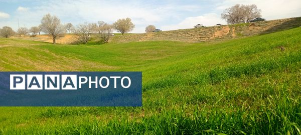 طبیعت سر سبز رفن به هنگام بهار