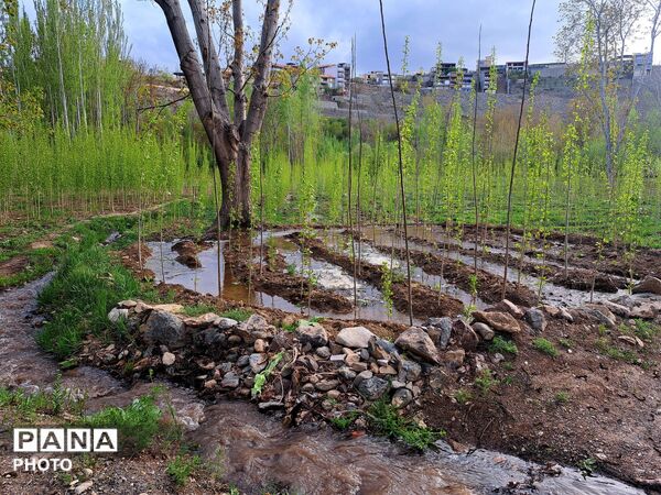 زاینده‌رود نفس سبز بهار