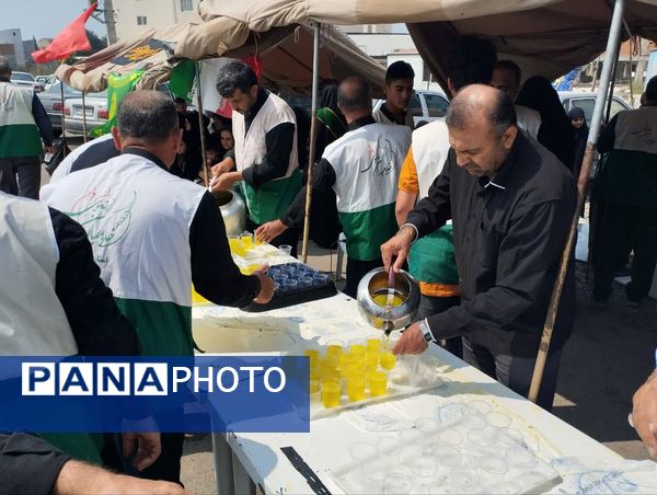 برپایی موکب امام رضا(ع) در میاندورود 