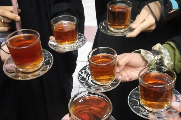حضور دانش‌آموزان بسیجی شهرستان قرچک در اردوی آموزشی مشهد مقدس 