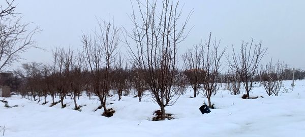 مناظر زیبای باغات روستای بوژمهران پس از بارش برف بهاری ۲۰ سانتیمتری 