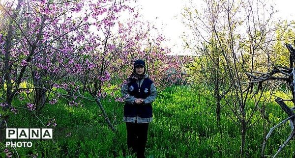 رویش شکوفه ها در روستای کابلی 