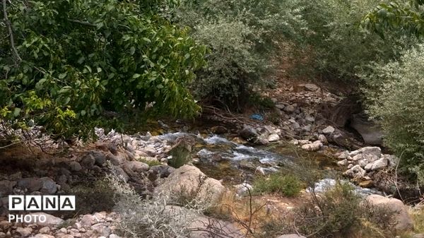 سمفونی رنگ‌ها در دامنه‌های گرین؛ سفری به دیار کهن الشتر