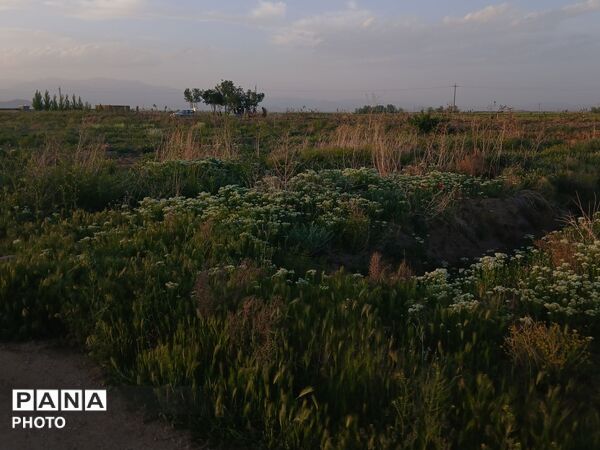 طبیعت چشم نواز روستای دهنو