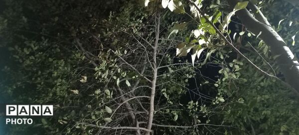 حال و هوای دل‌انگیز روستای مایان در آخرین ماه تابستان