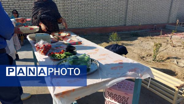 بازارچه دانش‌آموزی در منطقه فین