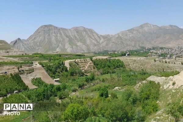 آلبوم تصویری از طبیعت زیبای شهر بار در اردیبهشت‌ماه  ۱۴۰۵ـ۲
