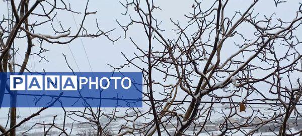 برف پاییزی در کوهرنگ