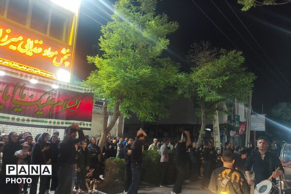 طنین گام‌های عاشقی در سوگ سیدالشهدا 