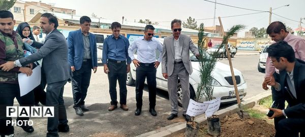 مسئولین اداره آموزش و پرورش کاشمر دو نهال بر زمین نهادند