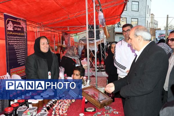 دومین جشنواره زرشک سیاه در روستای تیل شهرستان شبستر