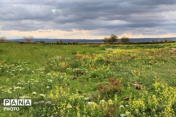 آیین باستانی سیزده بدر رشتخوار در روز طبیعت از قاب خبرنگاران پانا