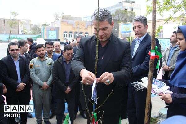 کاشت نهال همزمان با چهلمین روز شهادت فرشتگان میناب 
