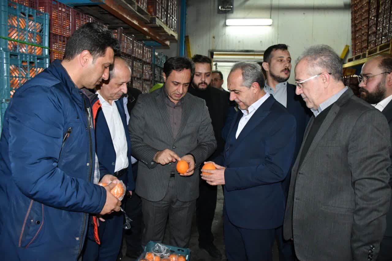 تأمین ۹۰۰ تن میوه شب عید در آذربایجان شرقی