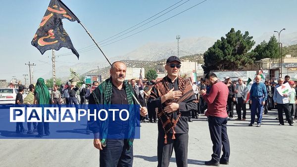 پیاده‌روی جاماندگان اربعین در یاسوج