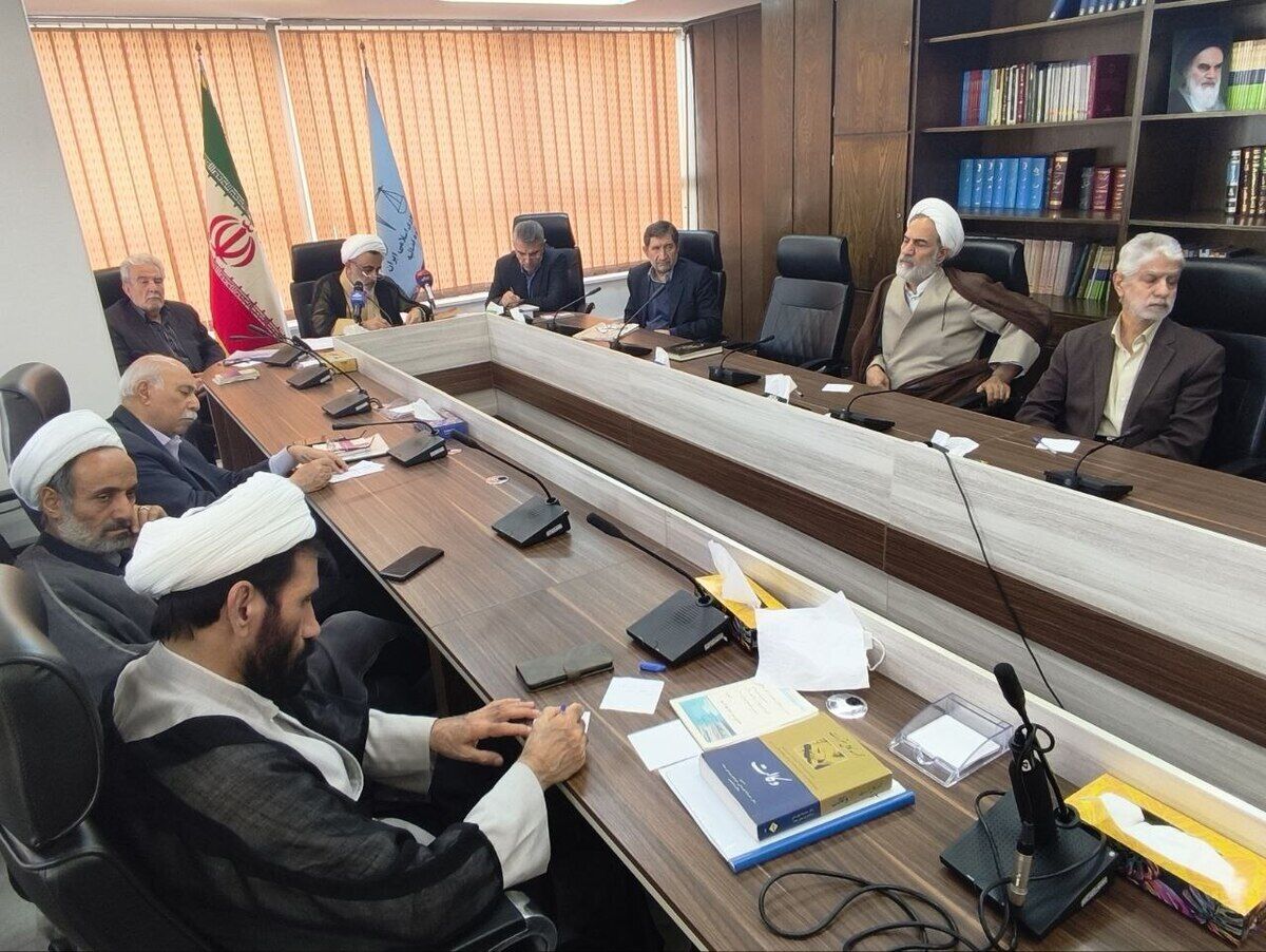 رئیس دادگاه عالی انتظامی قضات: ۳۳ درصد پرونده‌ها مرتبط با وکلاست
