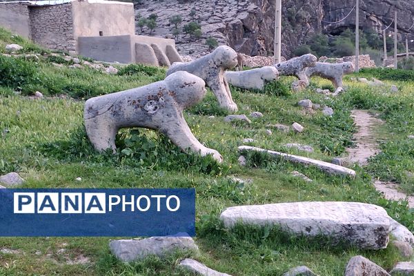 قبرستانی تاریخی و سرسبز به قدمت چند صد ساله در فارس