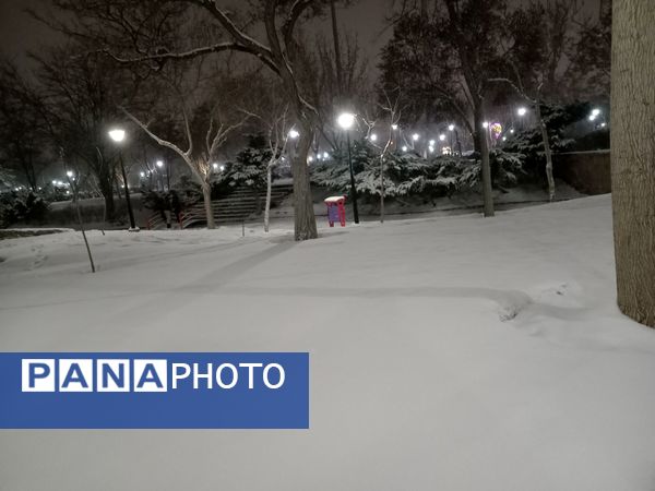 بارش برف در شهر مشهد 