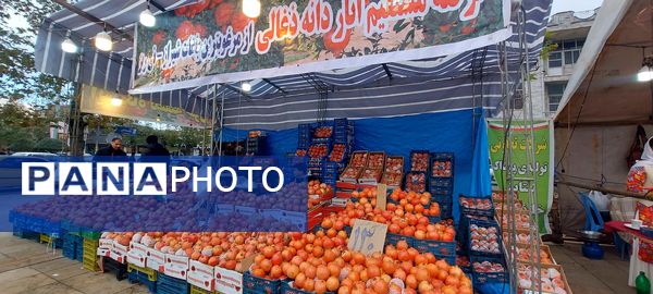 جشنواره آیین شب یلدا (چله چو)