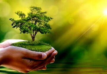 روز جهانی محیط زیست مبارک باد