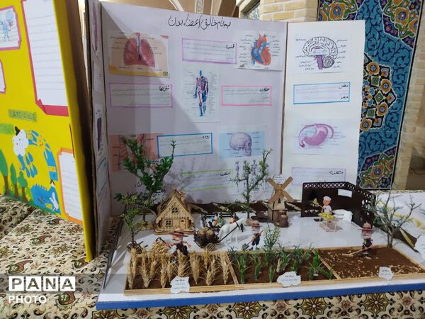 تجلی خلاقیت دانش‌آموزان یزدی در جشنواره جابربن حیان باغ دولت‌آباد