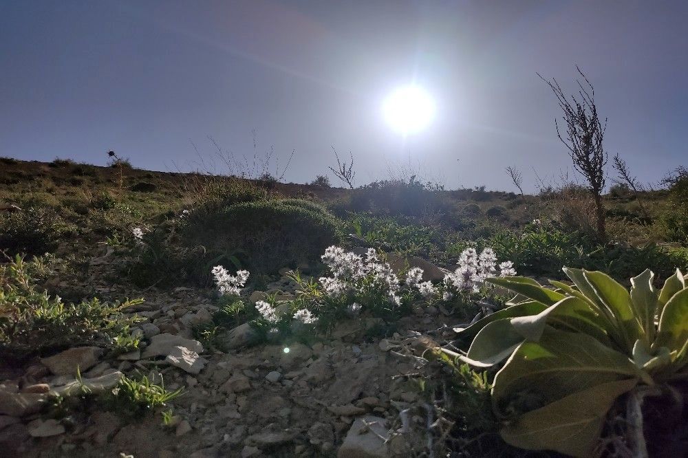 شهر زیبای بار، بهشت نیشابور