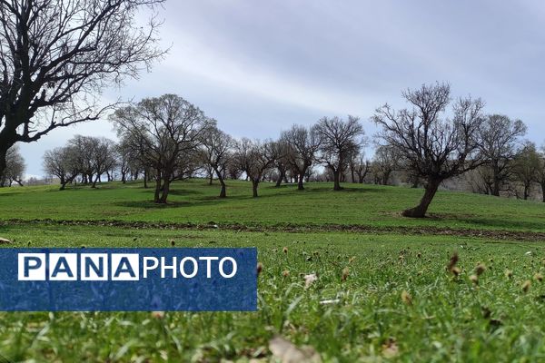 بهار، آغاز دوباره‌ی زندگی طبیعت 