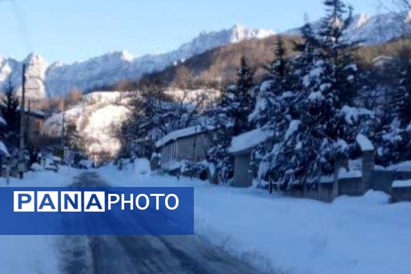 قابِ سفیدِ زمستان فـیـروزکــوه