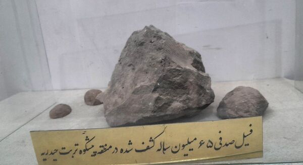 بازدید خبرنگاران پانا جلگه رخ از مجموعه گردشگری قطب الدین حیدر و رباط طبسی 