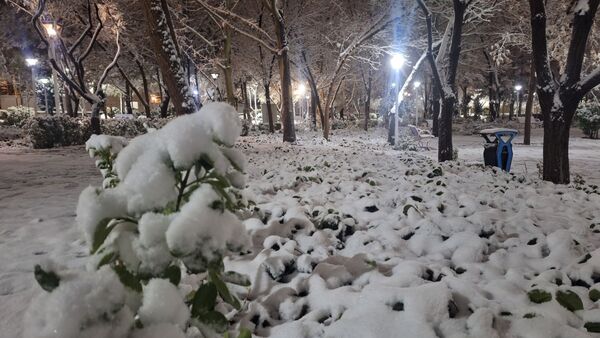 پارک‌های شهر مشهد در آغوش برف