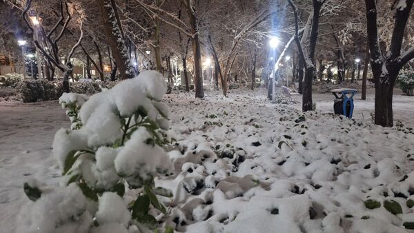 پارک‌های شهر مشهد در آغوش برف
