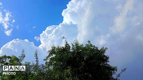 طبیعت هرگز تکراری و خسته‌کننده نمی‌شود