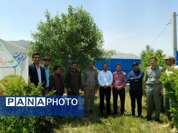 جشن هفته سلامت در روستای رفن
