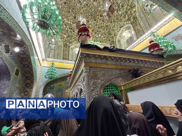 کبوتر حرم مشهد مقدس