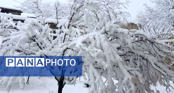 بارش برف، زنگ شادی را در مدرسه عشایری ابن مظاهر به صدا در آورد