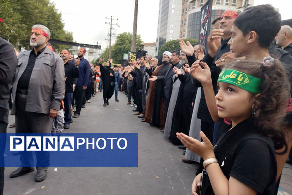 اجتماع آملی‌ها در سوگ حضرت اباعبدالله(ع)