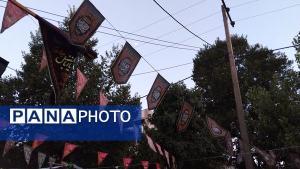 موکب‌های عزاداری‌، پذیرای عزاداران حسینی بودند