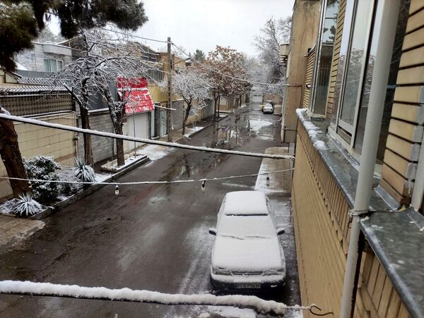 بارش برف و سفید پوش شدن شهر زیبای مشهد