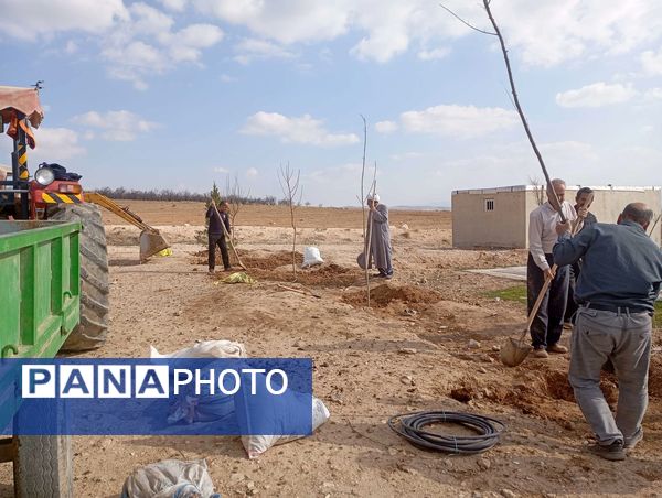 کاشت نهال در آرامستان روستای گزکوه