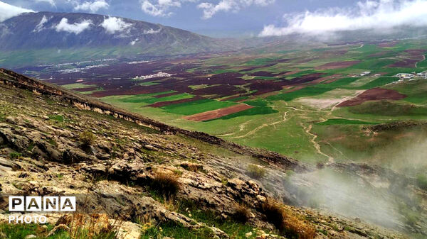 نگین سبز زاگرس 